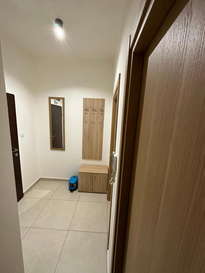 Irina Centre Apartment Podgorica Bagian luar foto