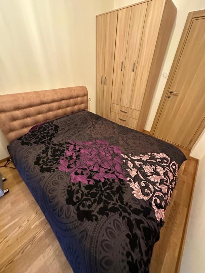 Irina Centre Apartment Podgorica Bagian luar foto