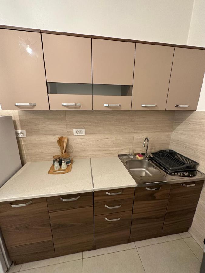 Irina Centre Apartment Podgorica Bagian luar foto